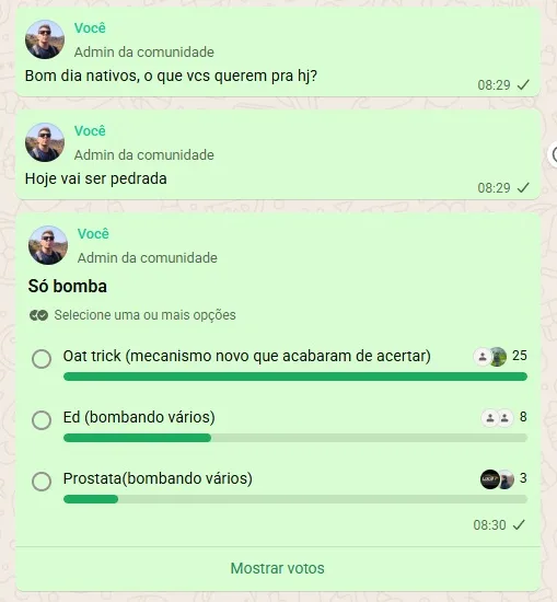 Preview do grupo WhatsApp